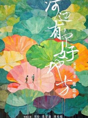 数字公主的秘密